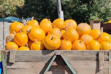 Тематическое фото ИА PrimaMedia, Кулакова Ксения