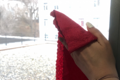 Тематическое фото Инна Дюкарева, ИА PrimaMedia