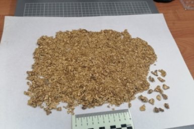 Тематическое фото 