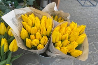 Природа, цветы, зелень, листва, трава, краски Артём Хорошилов  , ИА Stavropol.Media