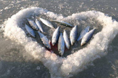 Фото очевидцев тг-канал &quotVLADIVOSTOK1.RU | Новости Приморья&quot (18+)