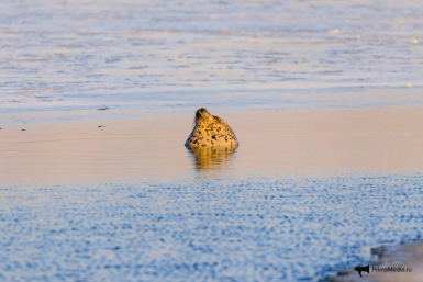 Тематическое фото ИА PrimaMedia