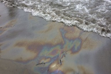 Тематическое фото ИА PrimaMedia