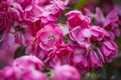 Тематическое фото ИА PrimaMedia