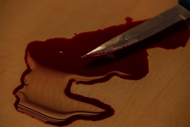 Тематическое фото ИА PrimaMedia