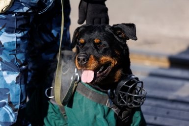 Тематическое фото Евгений Кулешов, ИА PrimaMedia