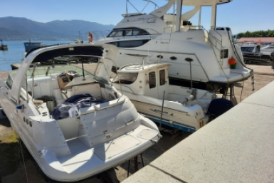 Тематическое фото ИА PrimaMedia