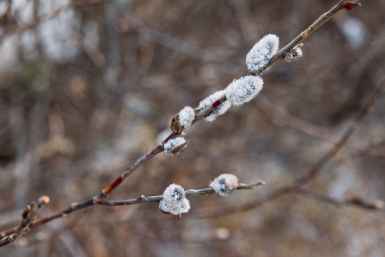 Тематическое фото ИА PrimaMedia