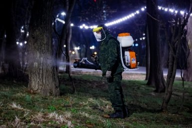 Какие локации обрабатывают от клещей во Владивостоке пресс-служба администрации Владивостока