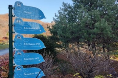 Кадровый голод и сезонная текучка: почему туристы жалуются на сервис в Находке