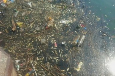 В прокуратуре бьют тревогу из-за загрязнения озера в Партизанске tg-канал &quotnewsvlru&quot (18+)