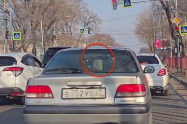 "Мужики обалдели": горячие танцы дамочки на дороге попали в объектив