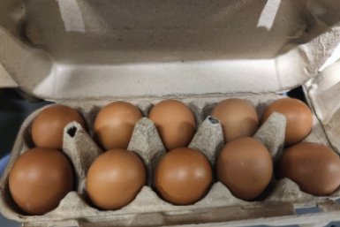 Тематическое фото ИА PrimaMedia