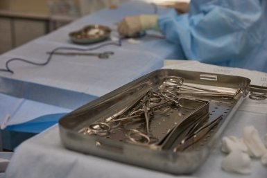 Тематическое фото Дмитрий Осипчук, ИА PrimaMedia