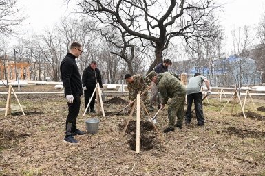 В сквере у Центра культуры в Находке высадили более 50 берёз пресс-служба администрации НГО