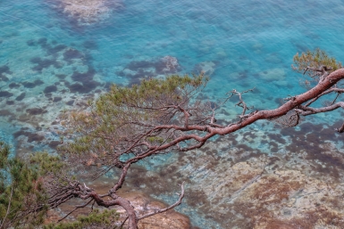 Тематическое фото ИА PrimaMedia