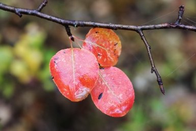 Тематическое фото ИА PrimaMedia