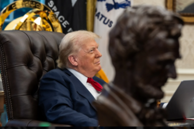 "Совет мира" Дональда Трампа не работает, заявил Небензя