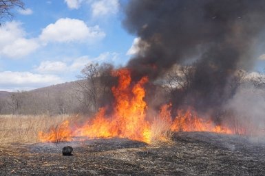 Пожарная обстановка в Приморье обострилась из-за человеческого фактора Платон Волков (КГБУ &quotПриморская авиабаза&quot)
