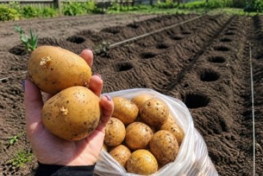 Тематическое фото Сгенерировано ИИ
