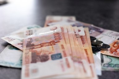 Россиян предупредили о рисках введения &quotматеринской зарплаты&quot Илья Аверьянов, ИА PrimaMedia.ru