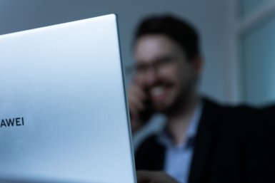 Число самозанятых в госзакупках выросло на 30%: кто получает контракты и какие