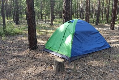 Туристические стоянки на Алтае буквально утопают в мусоре, который тоже привлекает животных Вячеслав Бадмаев, ИА UlanMedia