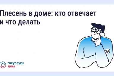 Тематическое фото 