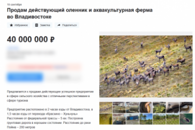Оленью ферму по соседству с нацпарком "Земля леопарда" выставили на продажу