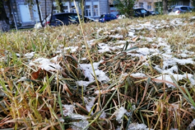 Антициклон-убийца тепла: когда в Приморье ударят заморозки