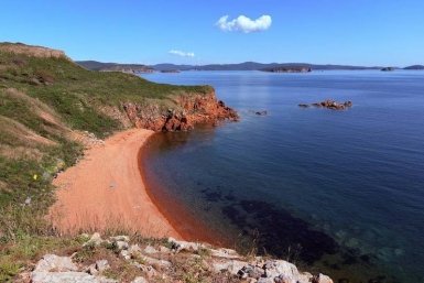 "Толпами идут": шикарная новинка на острове во Владивостоке – фото