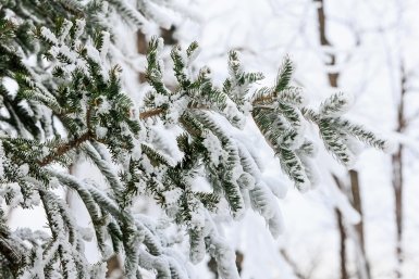 Тематическое фото Евгений  Кулешов, ИА PrimaMedia