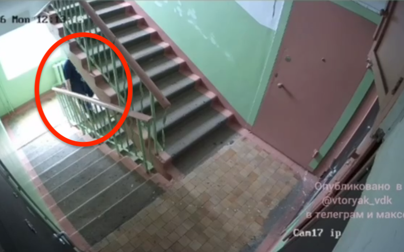"Соседи в шоке": дичайший инцидент в доме во Владивостоке попал на видео