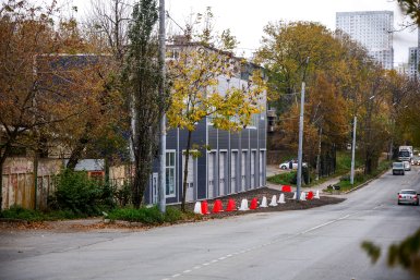 Тротуар и деревья уничтожили при обустройстве автомойки на Борисенко во Владивостоке