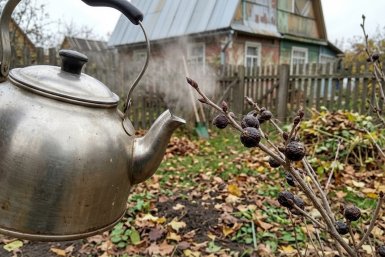 Техника выполнения упражнения сгенерировано при помощи ИИ