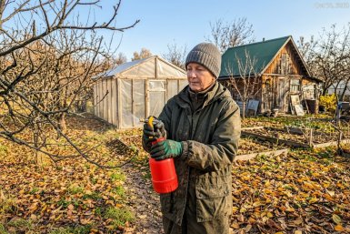 Тематическое фото сгенерировано при помощи ИИ