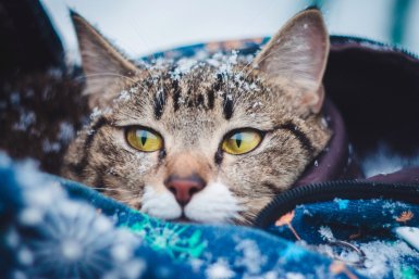 Тематическое фото 