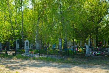 Тематическое фото ИА PrimaMedia
