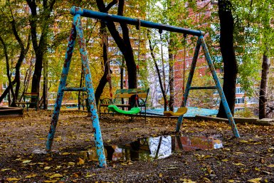 Ковер из осенних листьев ИА PrimaMedia