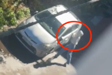 "С цепи сорвалась": дичайший поступок автоледи в Приморье возмутил народ