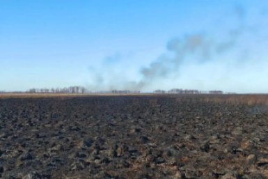 Пожар площадью 650 га тушат в Приморье Пресс-служба МинПрироды Приморья