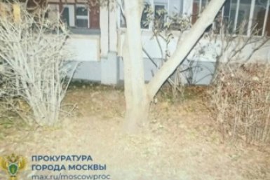 Место происшествия прокуратуры Московы