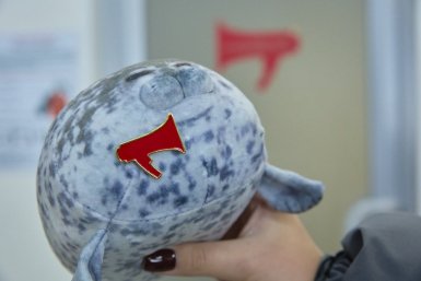 Картина дня: киты в заливе Петра Великого, леса Приморья и "Идиот"