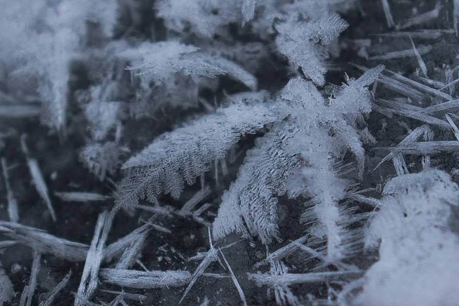 Тематическое фото Анастасия Москалёва, ИА ChitaMedia