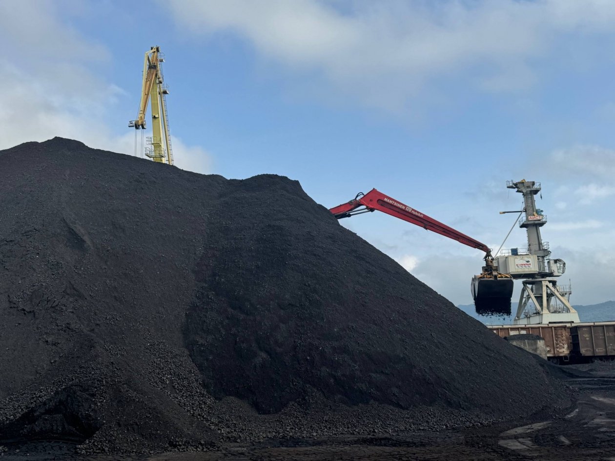 предоставлено пресс-службой Малого порта