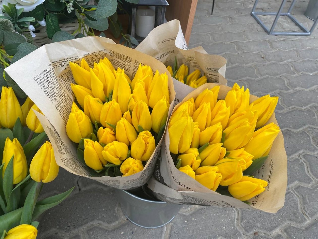 Природа, цветы, зелень, листва, трава, краски Артём Хорошилов  , ИА Stavropol.Media