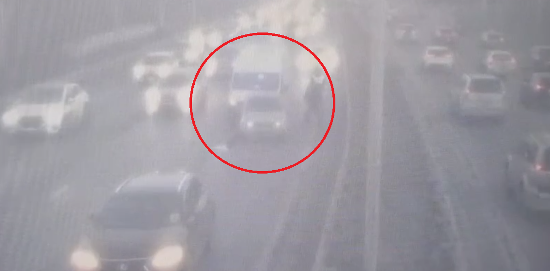 Скриншот ЦОДД | Владивосток (18+)