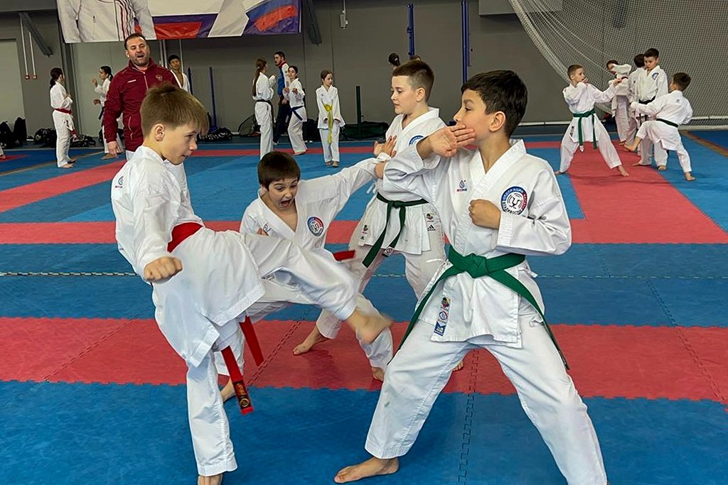 В Находке прошли мастер-классы от именитого тренера по карате пресс-служба администрации НГО