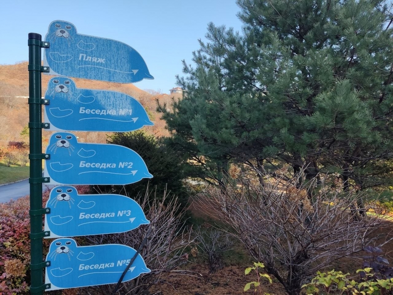 Туризм Петр Максимов, ИА PriamurMedia