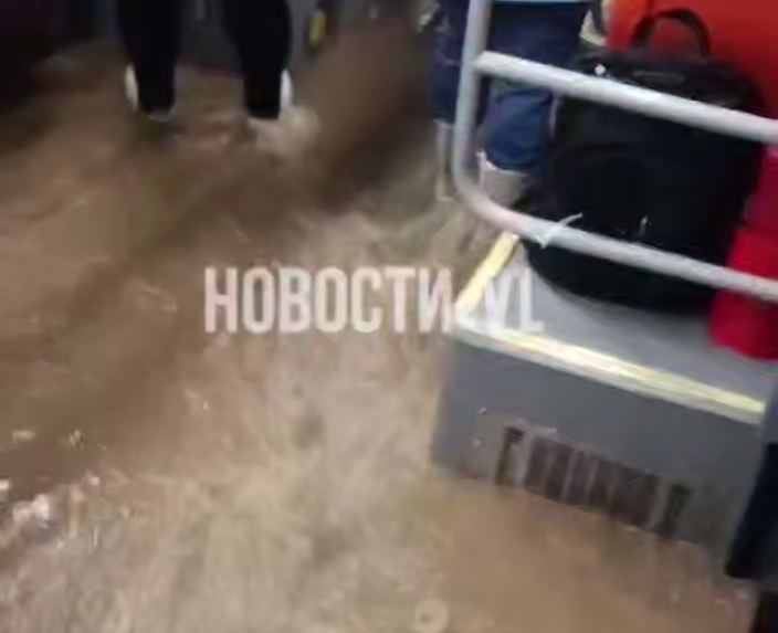 Скриншот